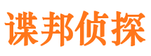 青阳市侦探公司